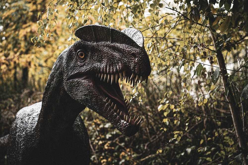 Cómo conocimos a los dinosaurios