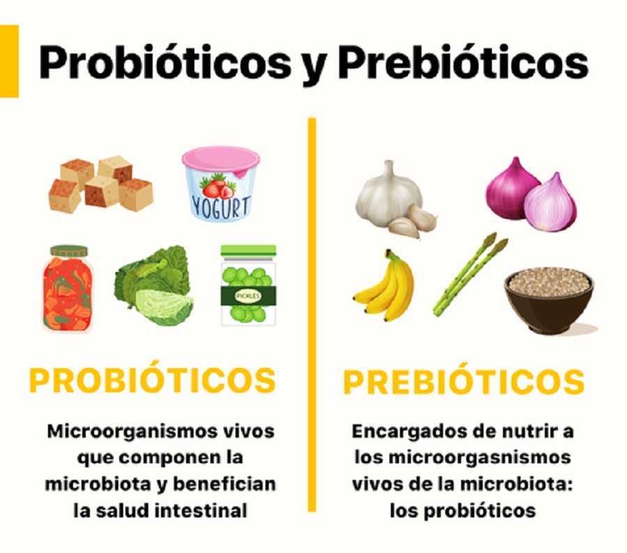 Probióticos y prebióticos