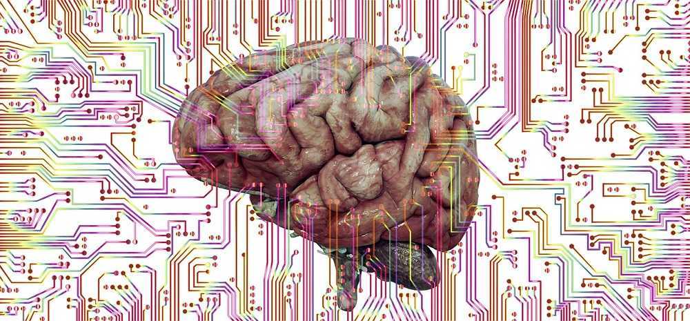 El cerebro: 101 datos que no conoces