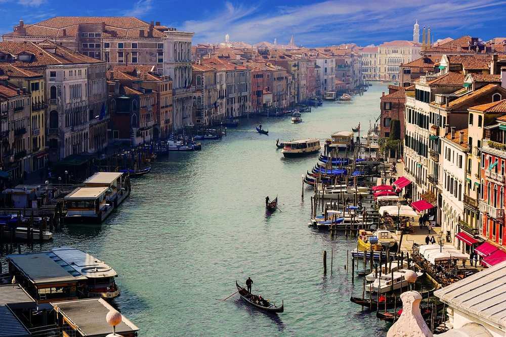 El "bosque bocabajo" que sostiene a Venecia