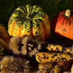 ¿Qué comían nuestros ancestros?