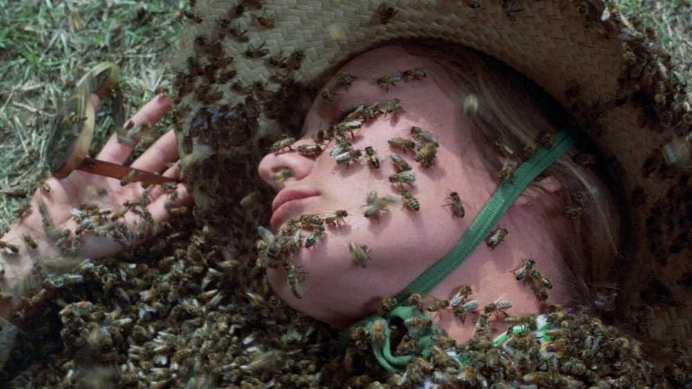 Monsterquest : Abejas gigantes asesinas