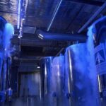 Congelados para sobrevivir