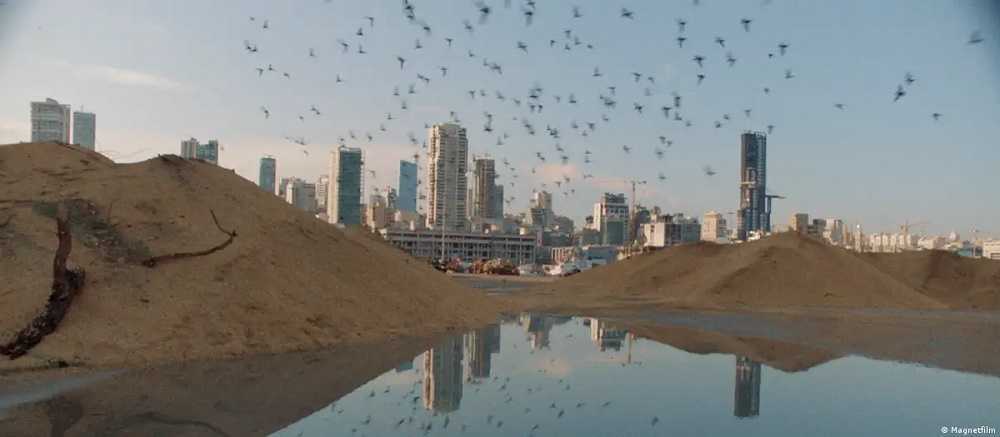 El antiguo juego de las palomas del Líbano