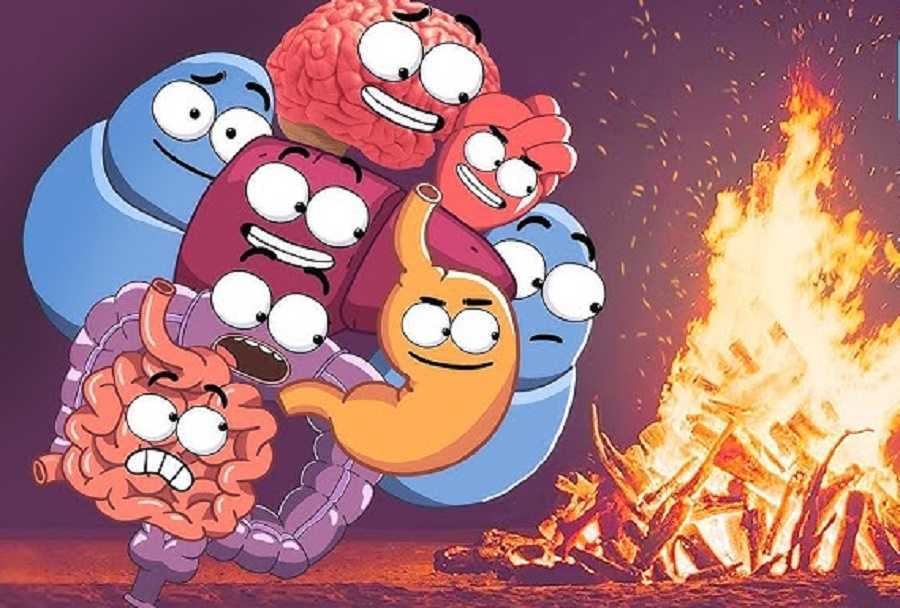 Tu cuerpo quemando calorías