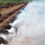 Negocios sucios con la protección del clima