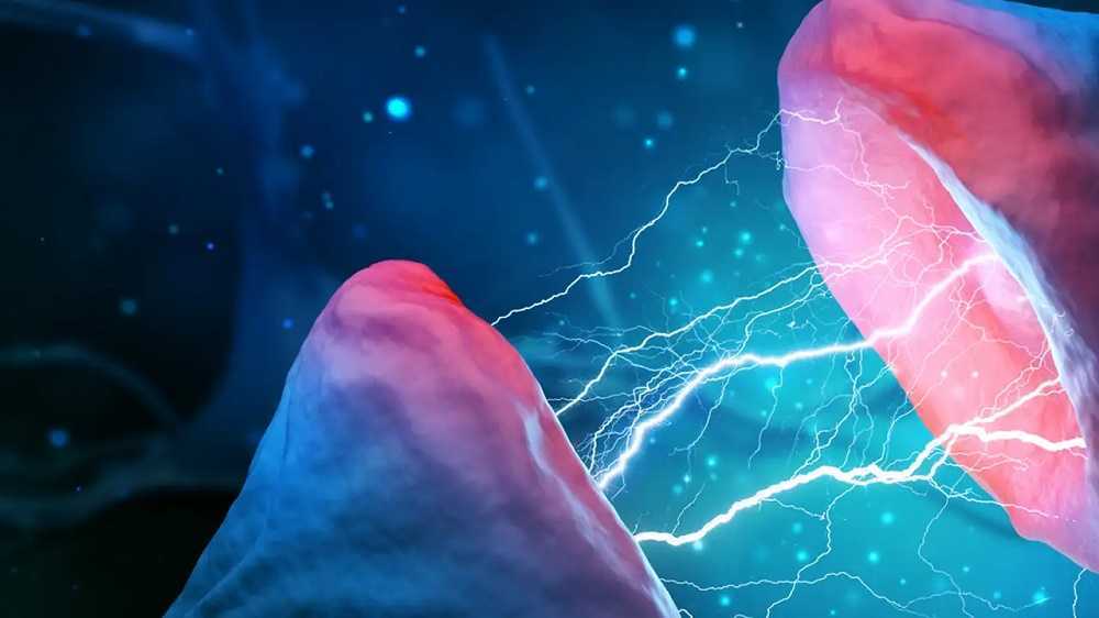 Por qué evolucionó nuestro cerebro