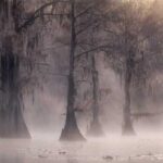 El pantano del diablo: Amos del pantano