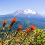 La montaña del misterio: Más allá de Skinwalker