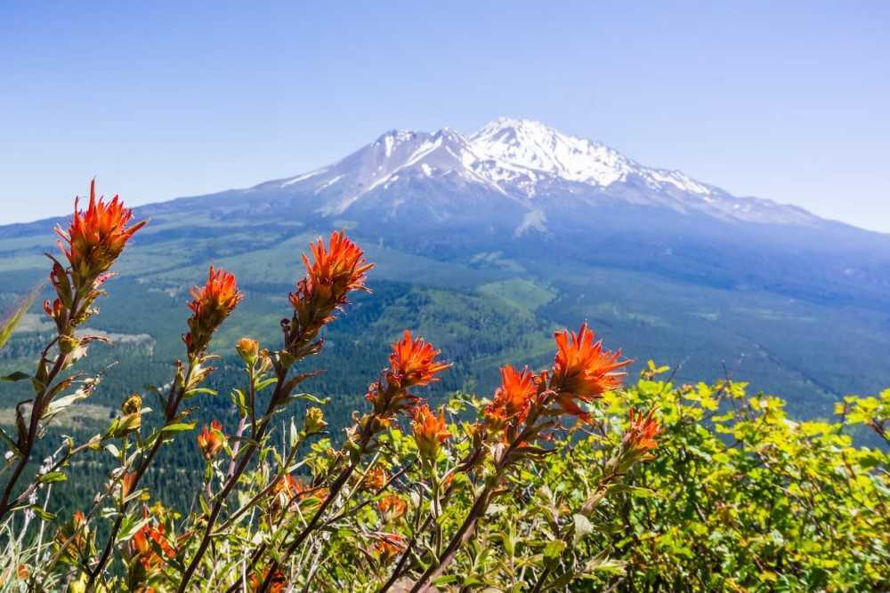 La montaña del misterio: Más allá de Skinwalker