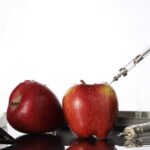 La mafia de la comida