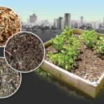 ¿Qué son los tecnosuelos?