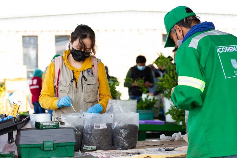 Qué son los tecnosuelos