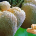 Beneficios de melena de león