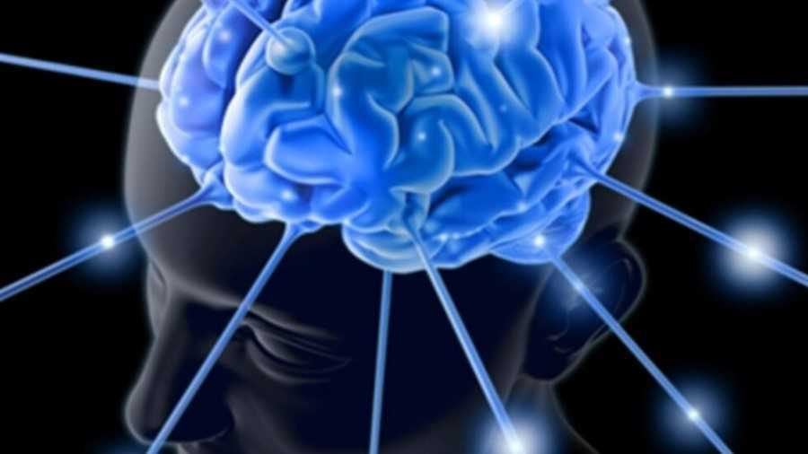 pasos que cambian tu cerebro de 50 años