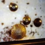 Objetos extrasolares