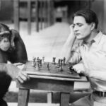 ¿Qué distingue a los humanos de los animales?