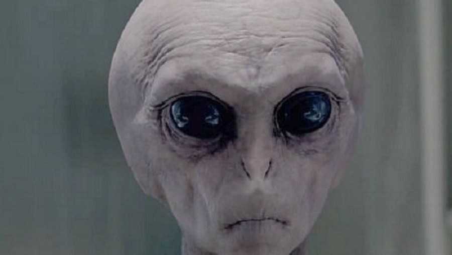 Asesoría alienígena