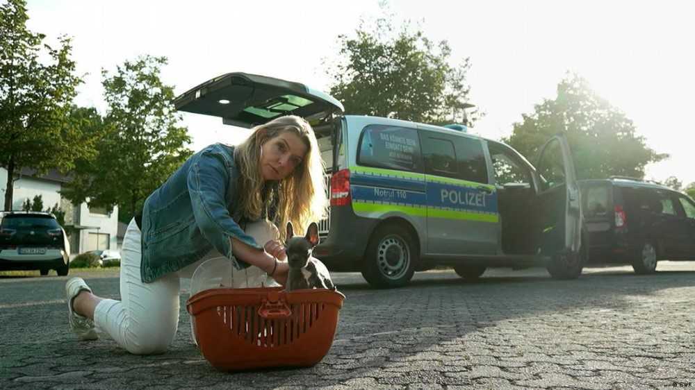 Tras las huellas de los traficantes de cachorros 