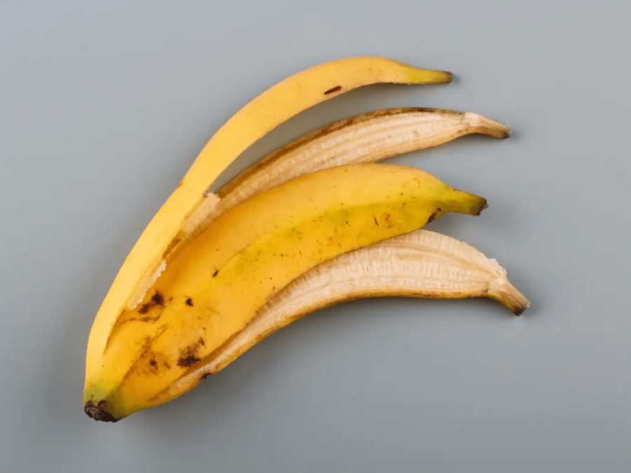 Drogas en la frutería