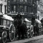 La crisis del estiércol