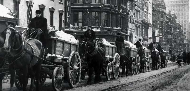 La crisis del estiércol