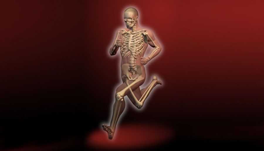 Tus huesos necesitan estrés