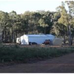 La siniestra historia del Clan Colt