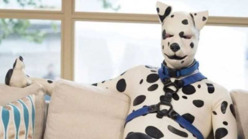 El fenómeno transespecie