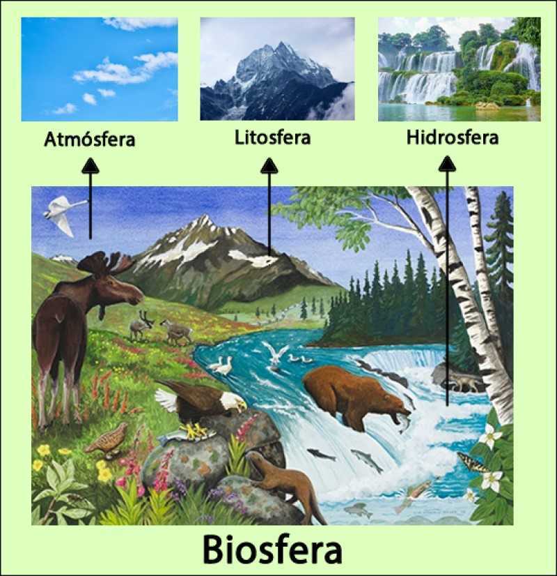 Los sistemas ocultos de la tierra