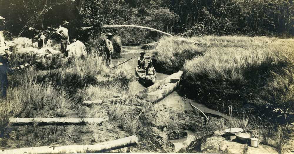 Misteriosa desaparición en la Selva Amazónica