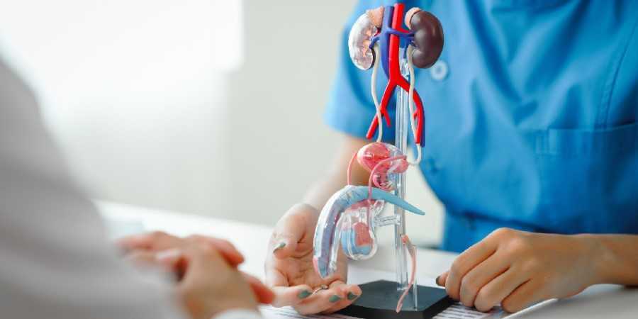 Pasos para evitar cáncer de próstata