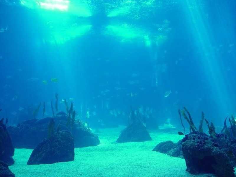 ¿Qué se oculta bajo el agua?