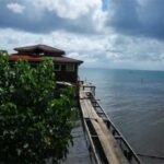 Santa Elena: Una isla impresionante en uno de los lugares más remotos de la Tierra