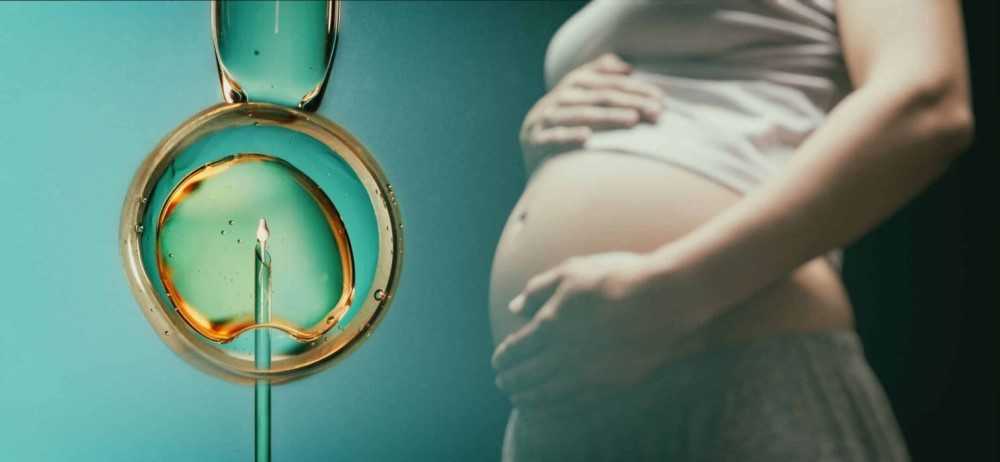 Cómo funciona la fecundación in vitro