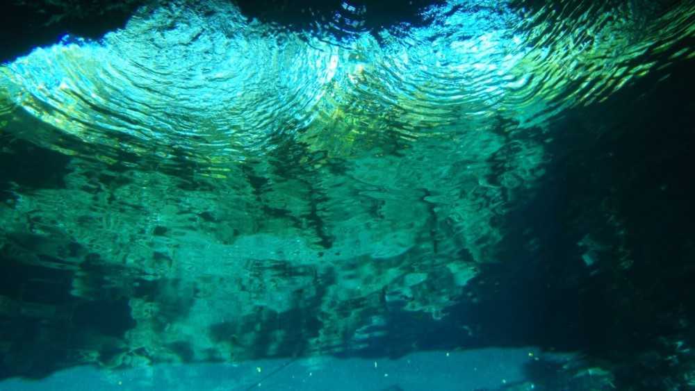 ¿Qué se oculta bajo el agua?