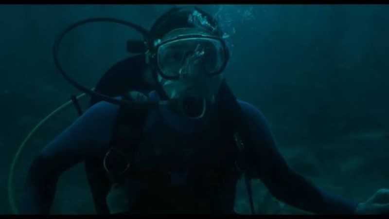 La Caída de la Ballena