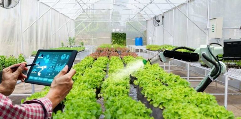 Robots e inteligencia artificial asumen tareas en la agricultura