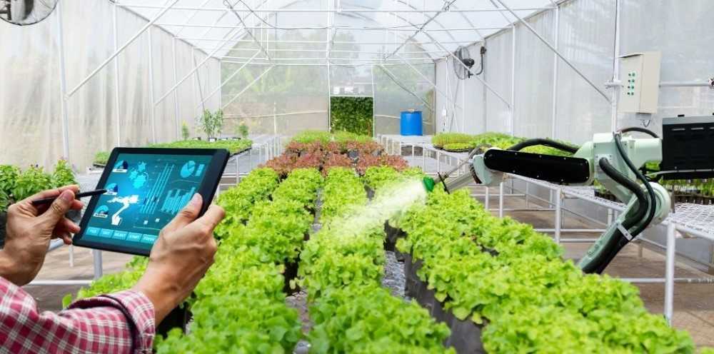 Robots e inteligencia artificial asumen tareas en la agricultura