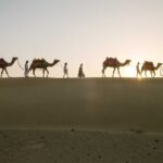 Los últimos nómadas de la India