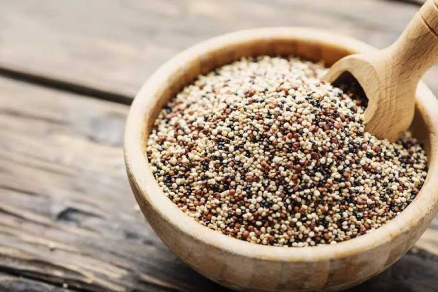 La quinoa: El alimento que no querían que comieras