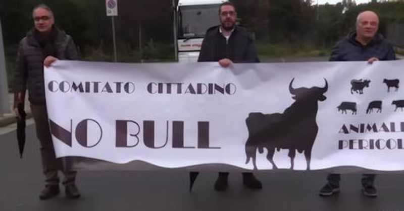 Las vacas sagradas de 'Ndrangheta