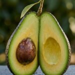 Aguacate o palta diferencia variedad Hass